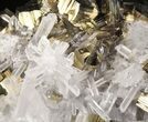 Quartz Crystal Cluster With Gleaming Pyrite - Peru #87743-2